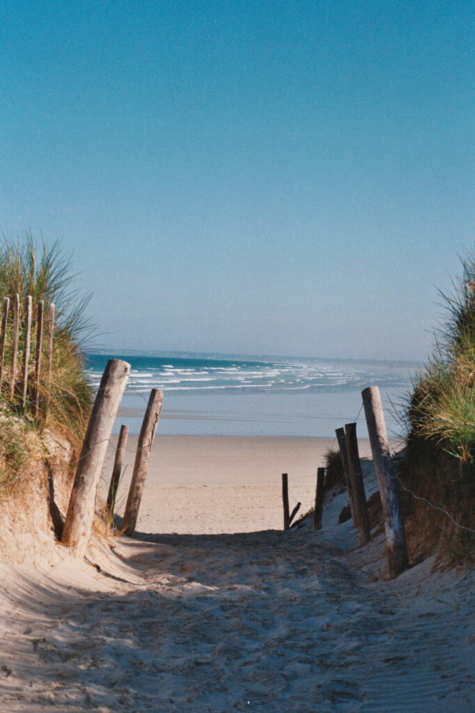 LM_HALEG_07_Photo36_36A